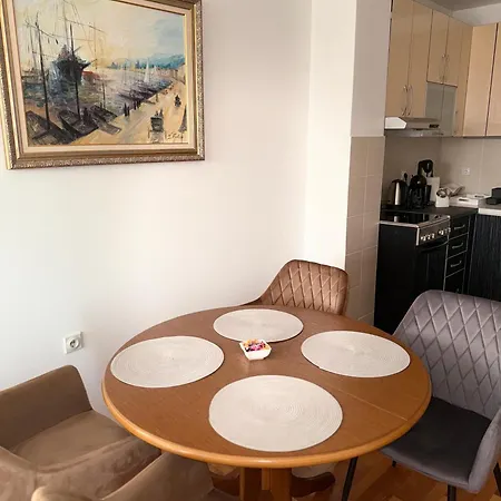 Darviva Niš, Center, Private Garage Parking, River View Lägenhet